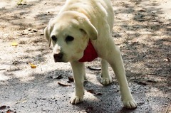 DSC02955