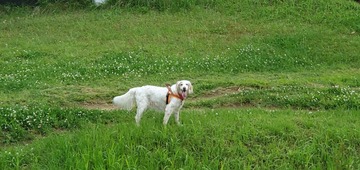 20200518_050922