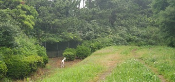 20200527_052531