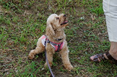 DSC05060