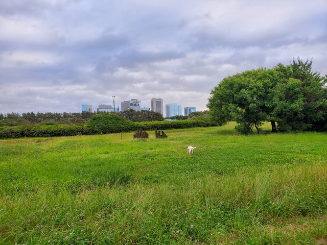 20190616_053108