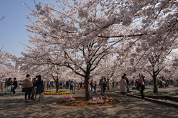 DSC01067