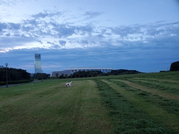 20190919_053701