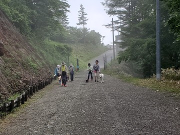 20190710_092603