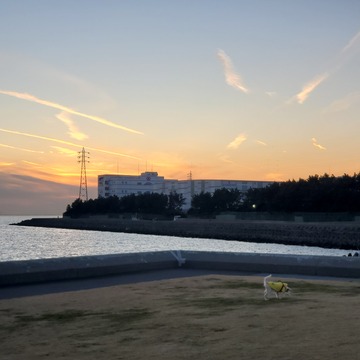 20201223_163053