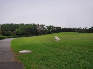 20191016_062916