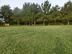 CIMG0002