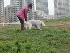 CIMG0427