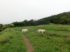 CIMG9045