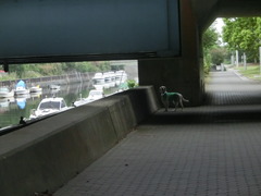 CIMG0933