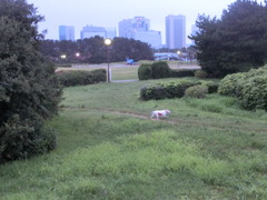 CIMG0014