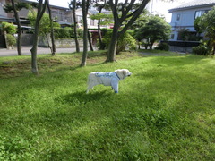 CIMG0278