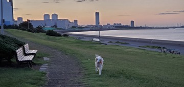 20200930_052342