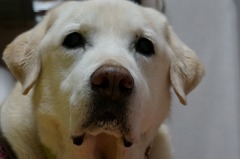 DSC00470