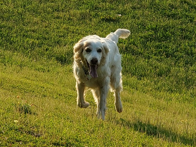 20190619_053925