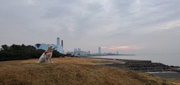 20200216_065820