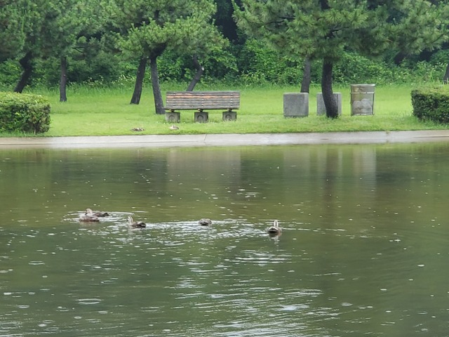20190630_081444