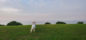 20200917_053945