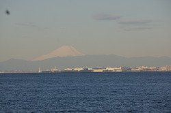DSC00848