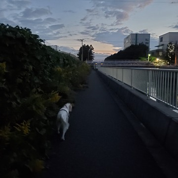 20201027_052941