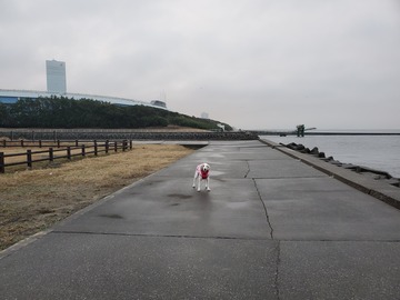 20191227_070300