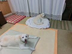 CIMG9777