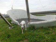 CIMG0089