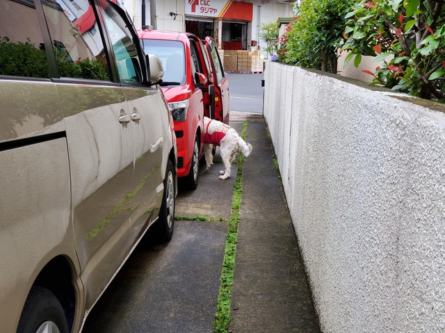 20190628_083800