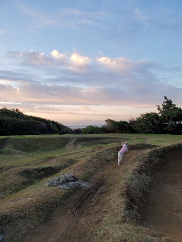 20191108_061335