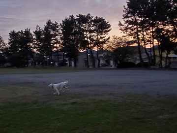 20191103_054702