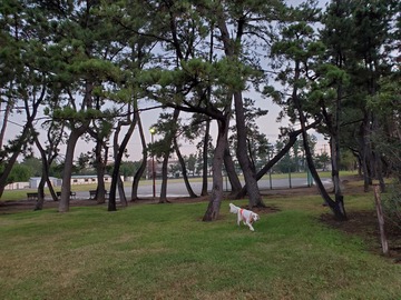 20191104_060621