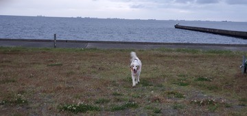 20200601_051425