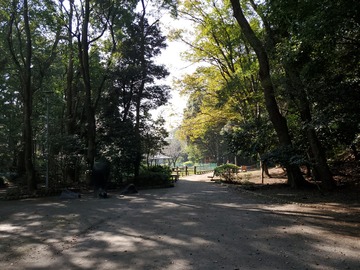 20191101_120646