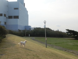 CIMG0368