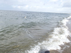 2012年9月17日 012