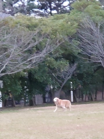 20191219_063833