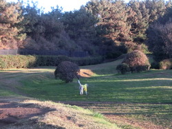 CIMG0432