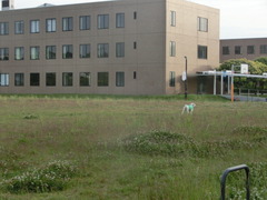 CIMG0843