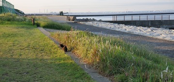 20200529_051429
