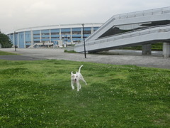 CIMG0022