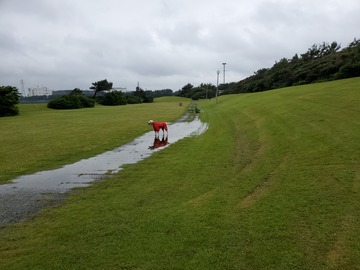 20190714_082031