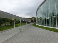 CIMG0959