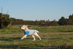 DSC01203