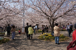 DSC01045