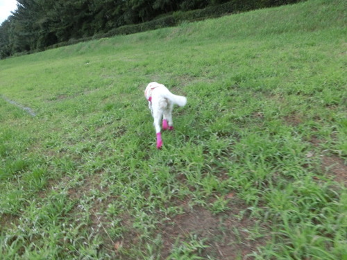 CIMG0053