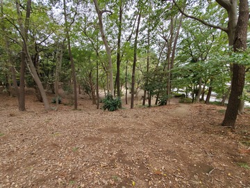 20191103_112752