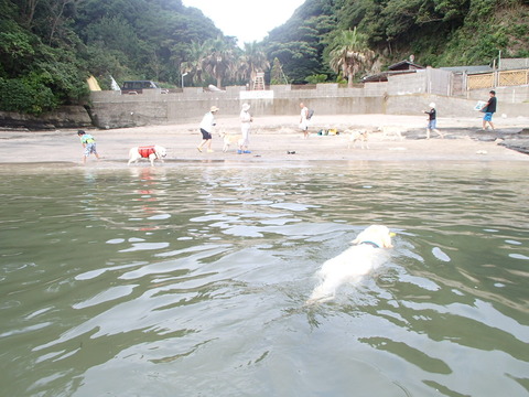 P7270708