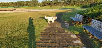 20200928_061125