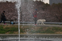 DSC00758