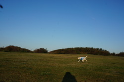 DSC01191